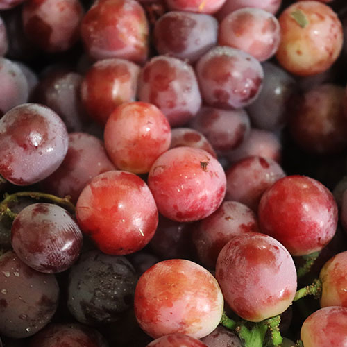 Imagen de una uva roja