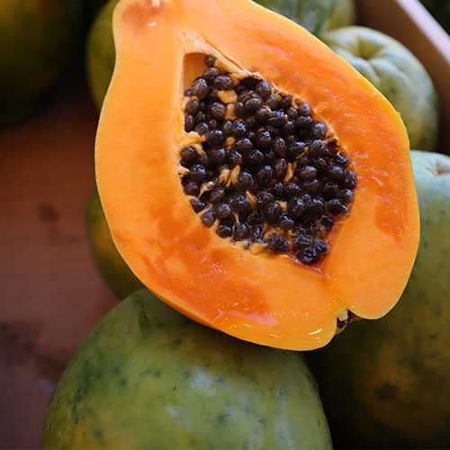 Imagen de unas semillas de papaya